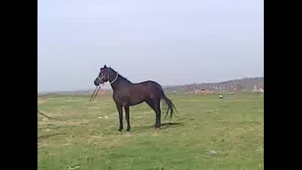 kone lom 