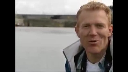 Куче плува с делфини