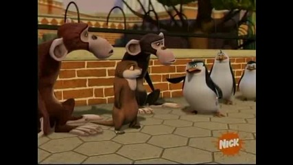 The Penguins of Madagascar - Monkey love
