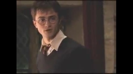 Ron and Hermione Deathly Hallows 