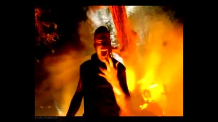 Disturbed The Animal Official Music Video Hd