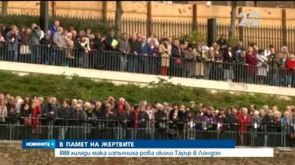 888 000 мака изпълниха рова около Тауър в Лондон