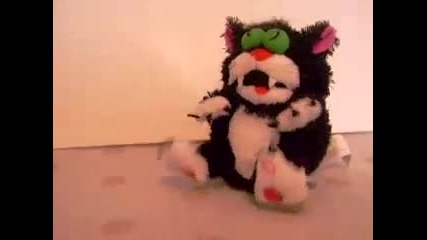 Пеещо Коте 