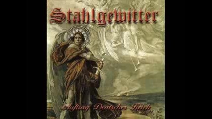 stahlgewitter - Politischer Soldat