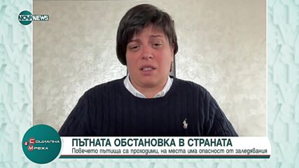 Русинова: Разглезени сме, очакваме непрекъснато да има снегорини на пътя