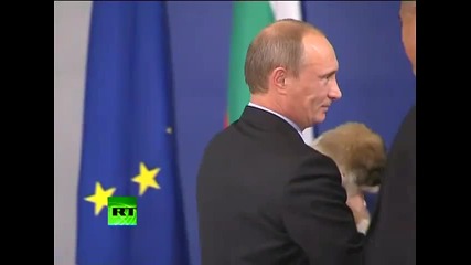 Бойко подари на Путин овчарско куче 