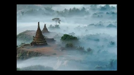Shamans Dream - Prana Pulse 2012