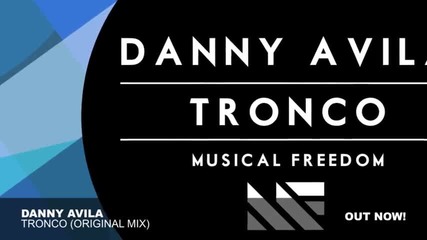 Danny Avila - Tronco ( Original Mix )