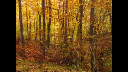 Eсен в Странджа - местността Пропада 