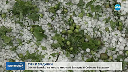 Новините на NOVA (06.05.2019 - централна емисия)
