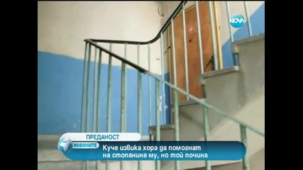 Издирват куче, завело хора до трупа на стопанина си