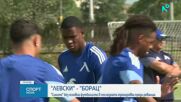 Проблеми за Левски преди реванша с Борац