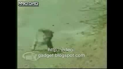 Дива Котка Си Играе Със Змия