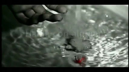 Don Omar - Adios