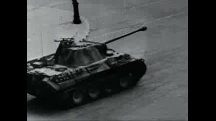Panther