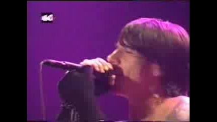 Red Hot Chili Peppers - I Could Die For You