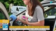 Какво да правим при ухапване от кърлеж
