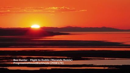 Bee Hunter - Flight to Dublin (meranda Remix)
