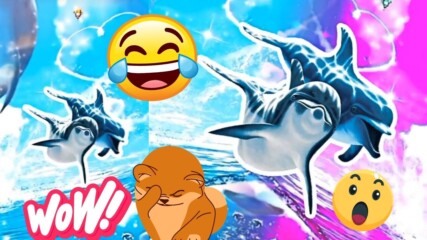 Мемето Symphony dolphin в TikTok! Какво е това?