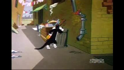 Sylvester - Bell Hoppy