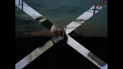 Rex! (bok).wmv