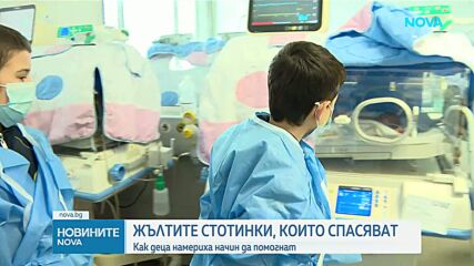 Жълтите стотинки, които спасяват: Как децата ни дават най-големия урок по човечност