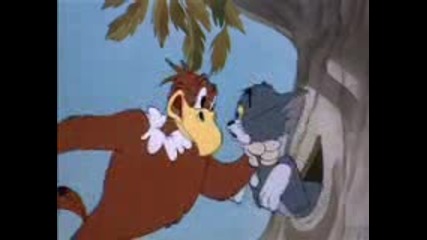Tom And Jerry