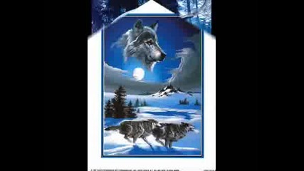 Картинки На Вълци