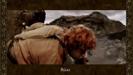 Lord of the Rings - For Frodo the final battle 