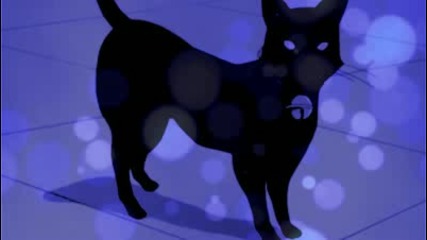 Cheshire Cat - Anna Molly