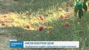 Новините на NOVA | Обедна емисия | 30 авг. 2026