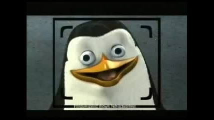 Пингвините от "мадагаскар" в реклама на hp