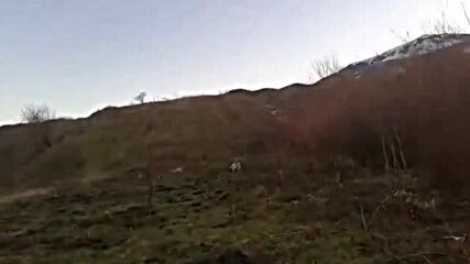 Бета 7мес0-02-05-