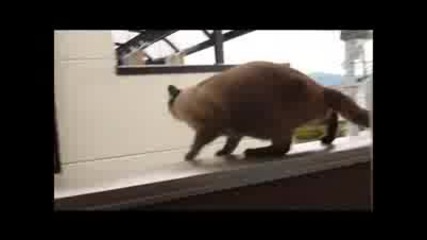 Мисията невъзможна ;д