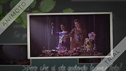 Summer Wine / Alex Kapranos & Clara Luciani