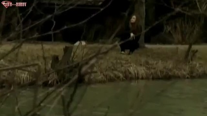 Tanja Popovic - Andjele Moj