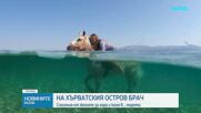 Хърватски остров предлага езда в морето срещу горещините