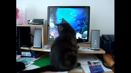 Котка атакува компютърна риба 