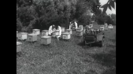 Ускоренно восъкопроизводство във пчелното семеиство