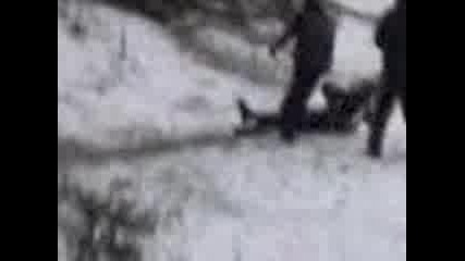Jestoko Prebivane