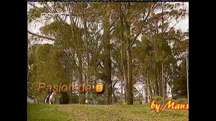 Pasion de Gavilanes