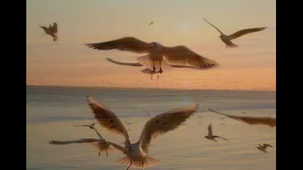 New Age Music N16 Dan Gibson - Fur Elise