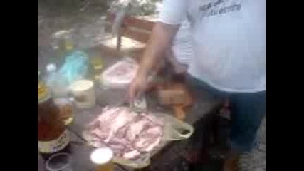 otkachalkite ot dupnica v gorata 2010 