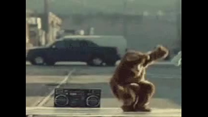 танцуваща мечка смях до припадане