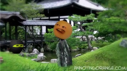 Annoying Orange - Kung Fruit