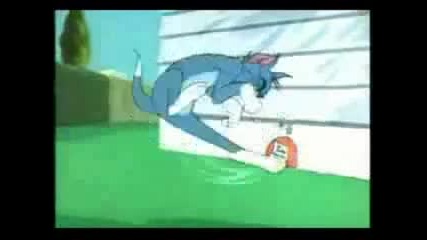 Tom and Jerry 5 (bg Parody)