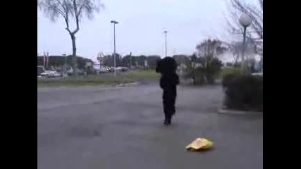 Remi Gaillard - Котката