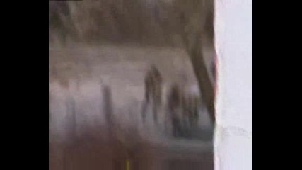 Sdv 0050.avi