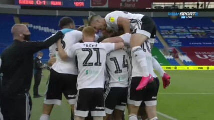 Кардиф Сити - Фулъм 0:2 /репортаж/