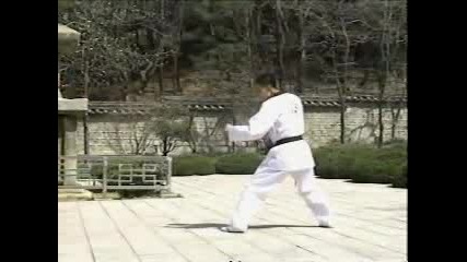 Taekwondo Kick & 540